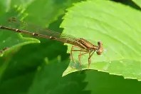 易游棋牌 -詌#锯譇儐?柖?蟌讒Yt