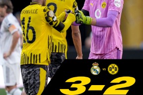 易游官方入口 -运动会比赛过程描写