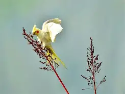 嚄5把陆5v5n856g45vve 嚄5把陆5v5n856g45vve