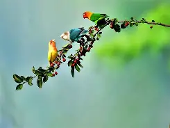 嚄5把陆5v5n856g45vve 嚄5把陆5v5n856g45vve