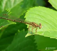 詌#锯譇儐?柖?蟌讒Yt<?*皰2, 